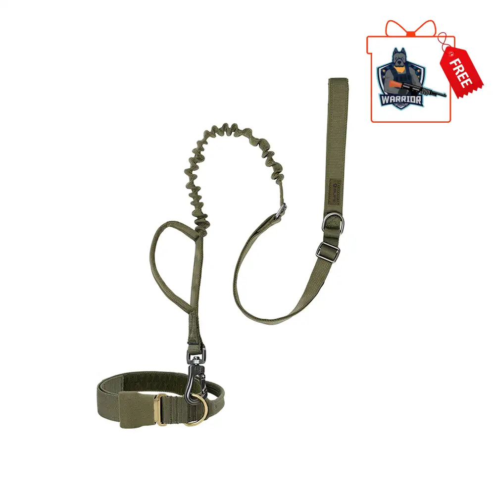 OLIFE Tactical Dog Collar and Bungee Leash Set