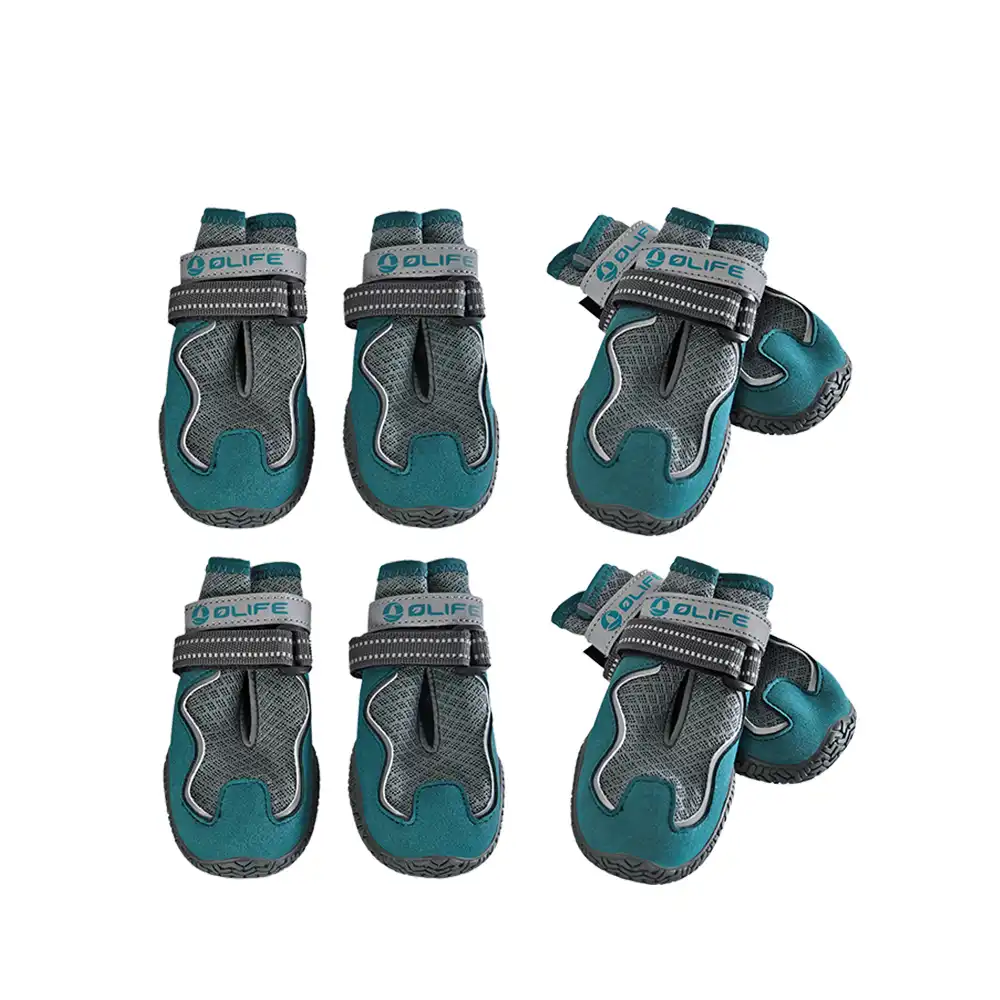 Outdoor Dog Gear 2 Pack