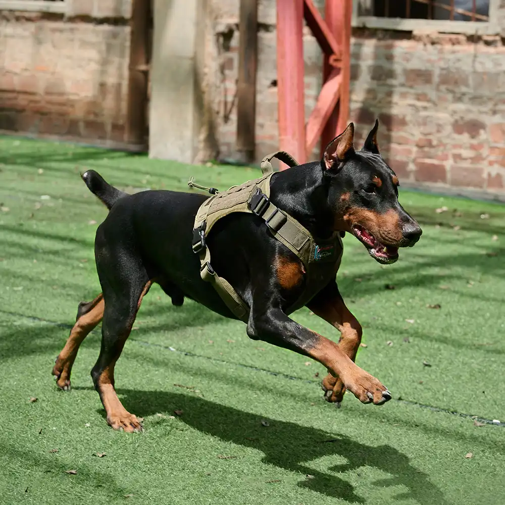 Tactical Dog Gear and PSIGEAR Pouch Bundle