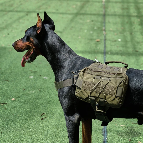 Tactical Dog Harness & Collar & Bungee Dog Leash Set Military Molle Vest &  Pouch
