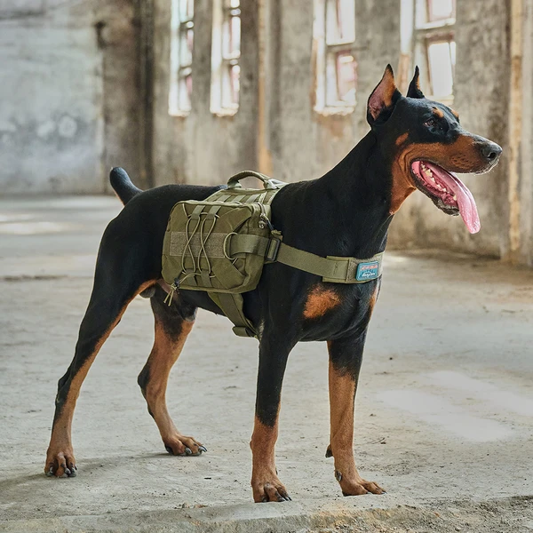 OLIFE Tactical MOLLE Dog Harness and Bungee Leash Set