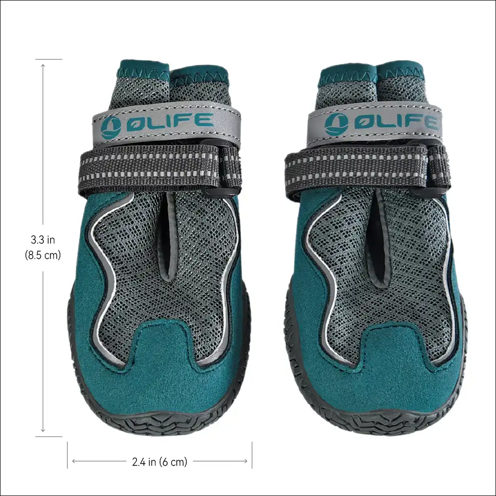 Outdoor Dog Gear 2 Pack