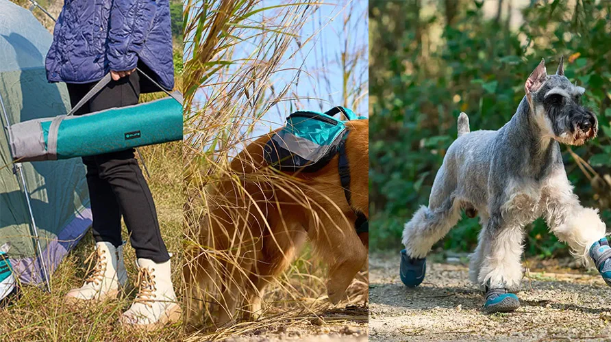 Essential Pet Travel Items: How to Choose and Use Them for a Safe and Comfortable Journey