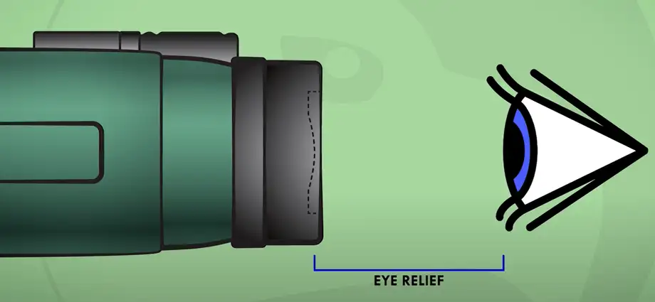 Understanding Eye Relief in Binoculars: Adjustment and Measurement