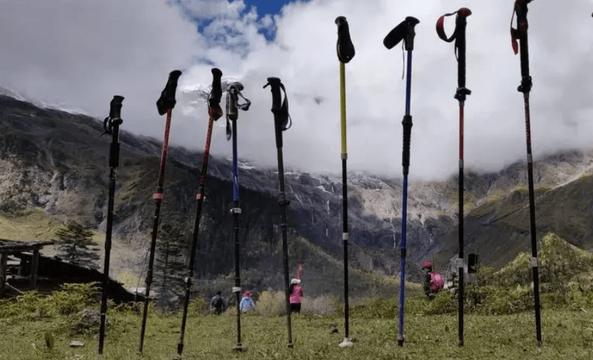 Hiking staff vs trekking poles