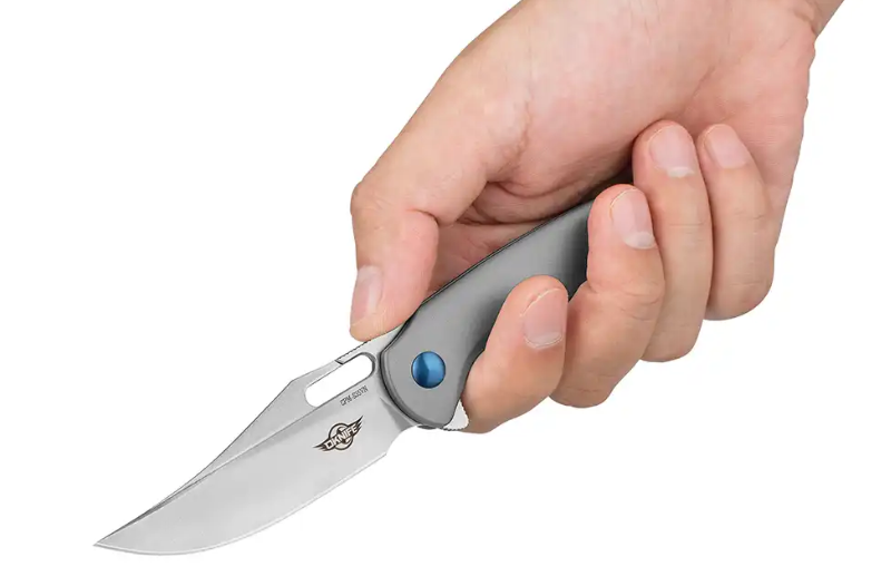 This picture shows a small folding knife held in the hand.