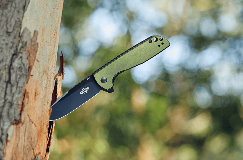 The picture shows a pocket knife stuck in a tree.