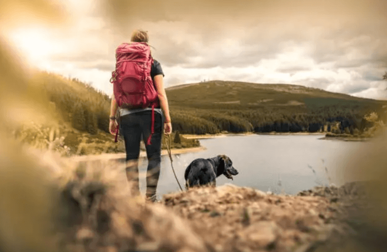 rules and regulations for hiking with dogs