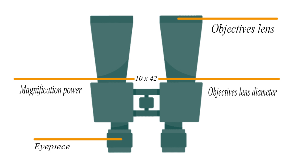 Structure image of Binocular Numbers Basics