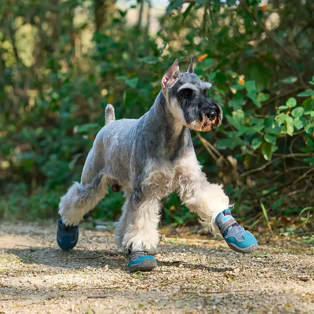 OLIFE Pawtour Breathable Dog Boots (Set of 4) One Size