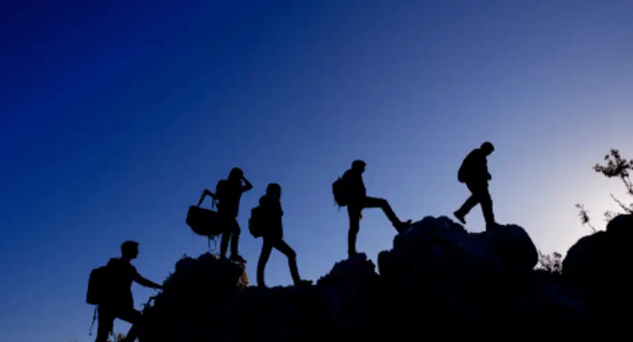 A Complete Guide for Beginners Knowing Trekking Pole Light